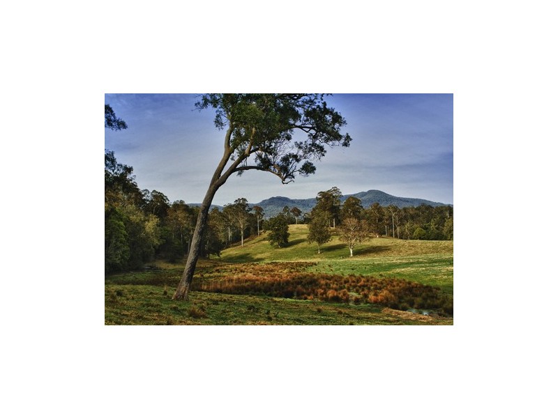 1067 Punkalla Tilba Rd, Narooma NSW 2546