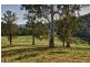 1067 Punkalla Tilba Rd, Narooma NSW 2546