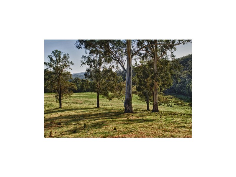 1067 Punkalla Tilba Rd, Narooma NSW 2546