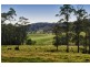 1067 Punkalla Tilba Rd, Narooma NSW 2546