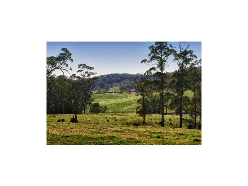 1067 Punkalla Tilba Rd, Narooma NSW 2546