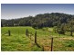 1067 Punkalla Tilba Rd, Narooma NSW 2546