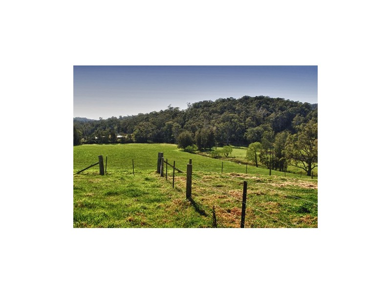 1067 Punkalla Tilba Rd, Narooma NSW 2546