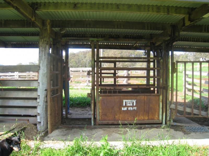 1067 Punkalla Tilba Rd, Narooma NSW 2546