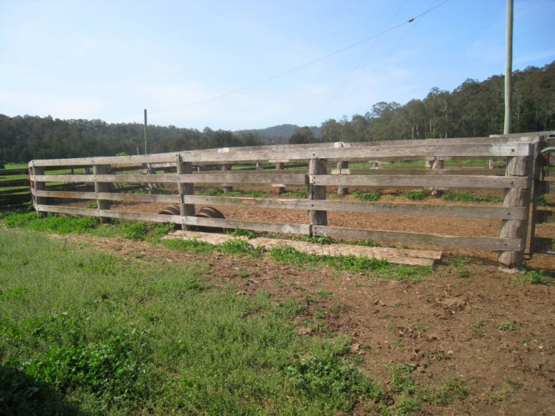 1067 Punkalla Tilba Rd, Narooma NSW 2546