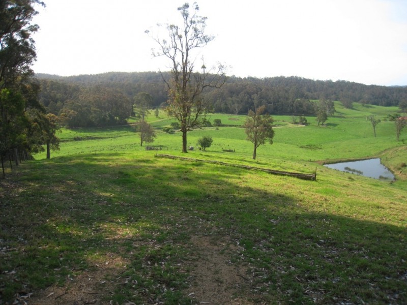 1067 Punkalla Tilba Rd, Narooma NSW 2546