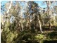 113 Brittens Rd, Tantawangalo NSW 2550