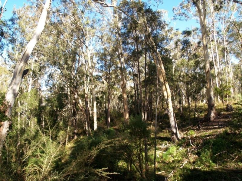 113 Brittens Rd, Tantawangalo NSW 2550