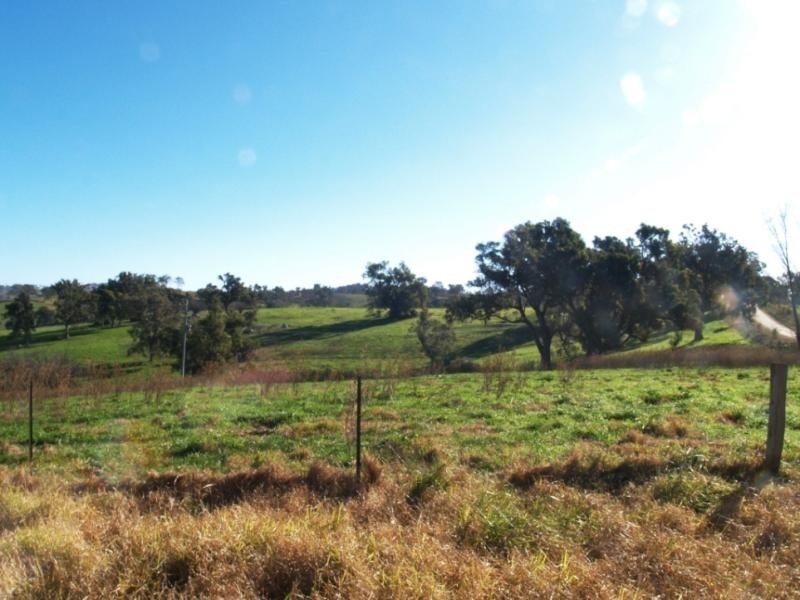 - Cnr Angledale Rd and Hergenhan’s Lane, Angledale NSW 2550