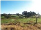 - Cnr Angledale Rd and Hergenhan’s Lane, Angledale NSW 2550