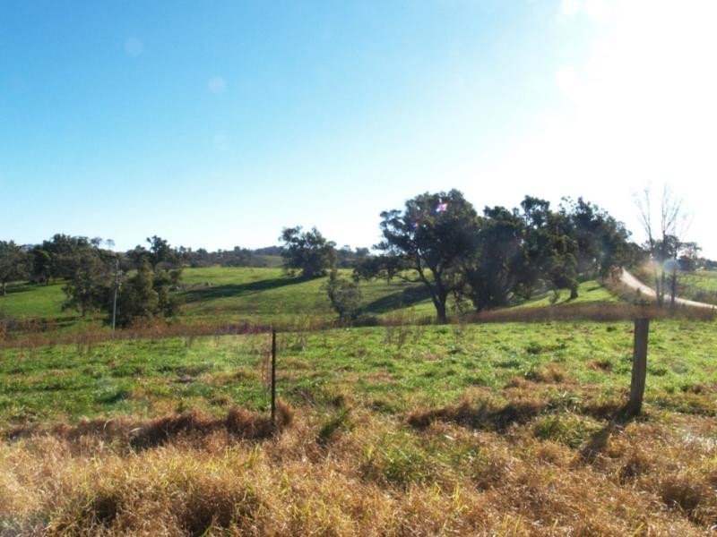 - Cnr Angledale Rd and Hergenhan’s Lane, Angledale NSW 2550
