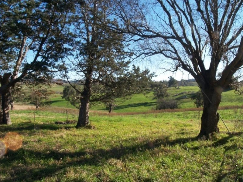 - Cnr Angledale Rd and Hergenhan’s Lane, Angledale NSW 2550