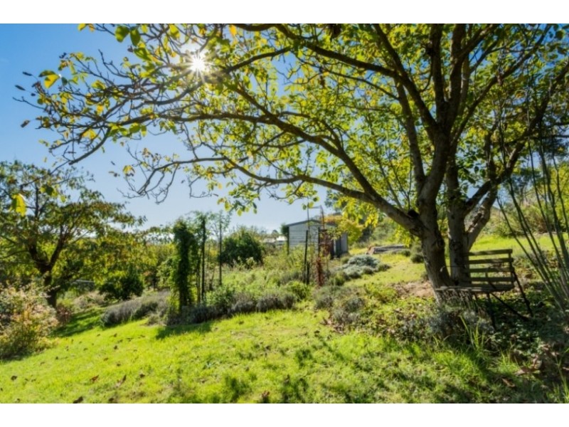 28 Bega St, Candelo NSW 2550