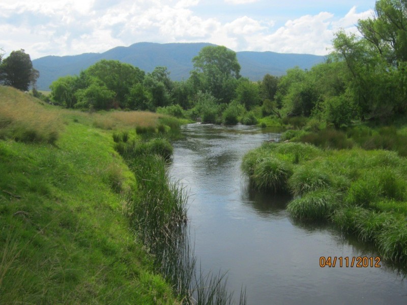 3120 Snowy Mtns Hwy, Bemboka NSW 2550