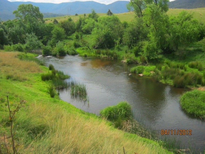 3120 Snowy Mtns Hwy, Bemboka NSW 2550