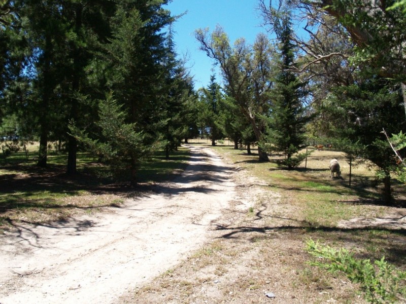 21 Old Soldiers Lane, Wolumla NSW 2550