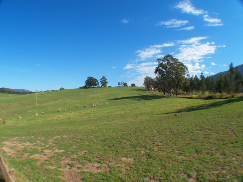 2995 Burragate Rd, Towamba NSW 2550