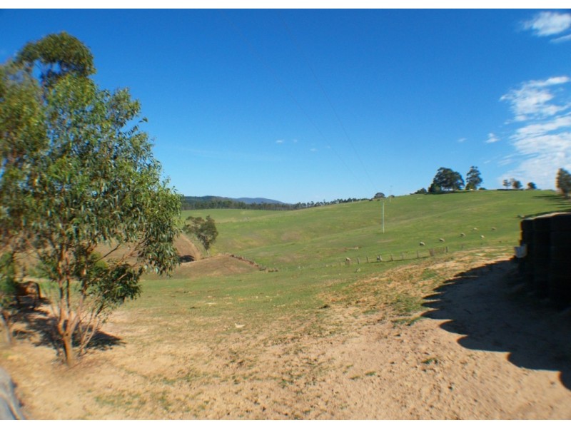 2995 Burragate Rd, Towamba NSW 2550