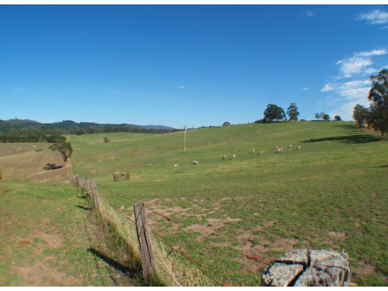 2995 Burragate Rd, Towamba NSW 2550