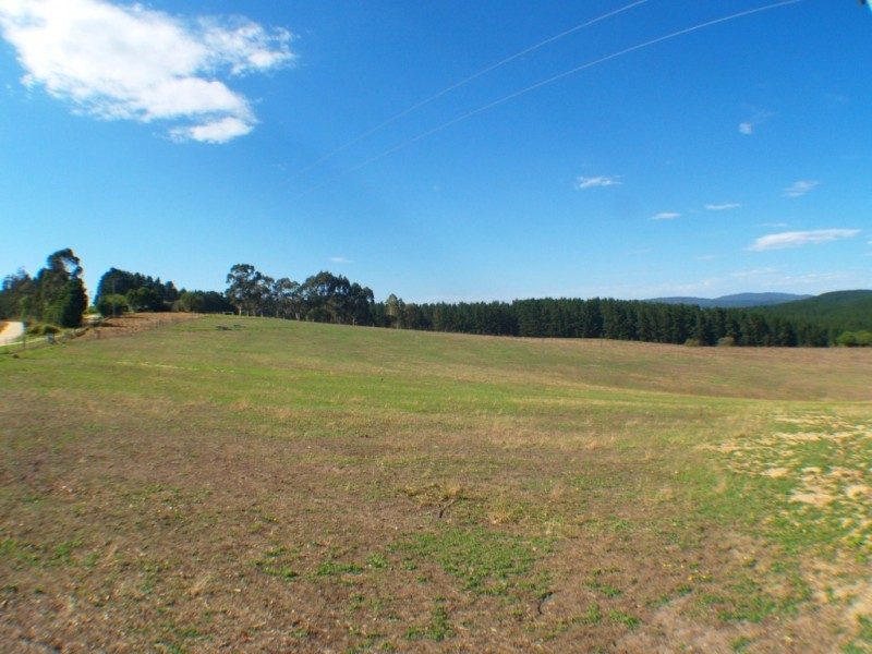 2995 Burragate Rd, Towamba NSW 2550