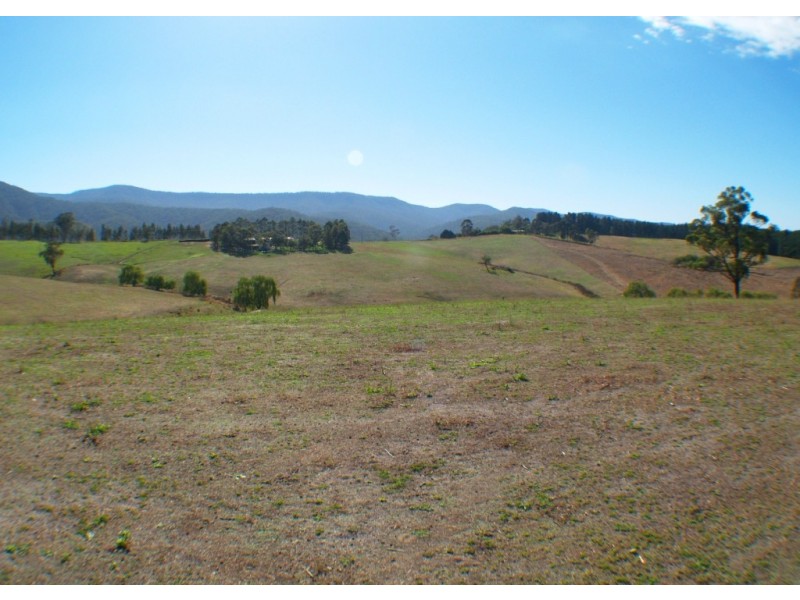 2995 Burragate Rd, Towamba NSW 2550