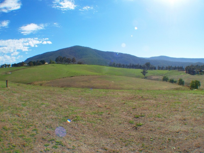 2995 Burragate Rd, Towamba NSW 2550