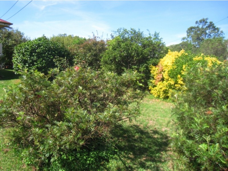 1358 Tarraganda Lane, Tarraganda NSW 2550