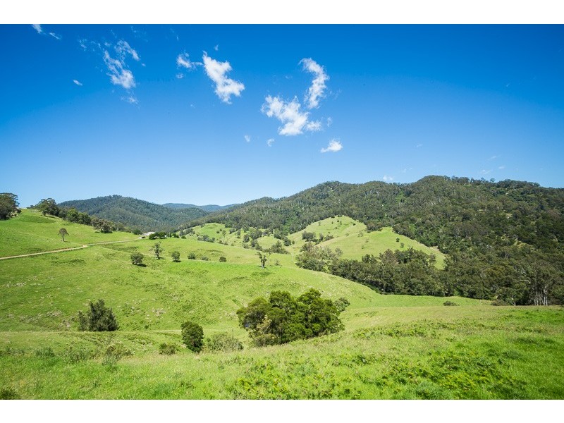 472 County Boundary Rd, Cobargo NSW 2550