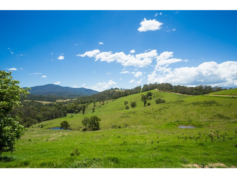 472 County Boundary Rd, Cobargo NSW 2550