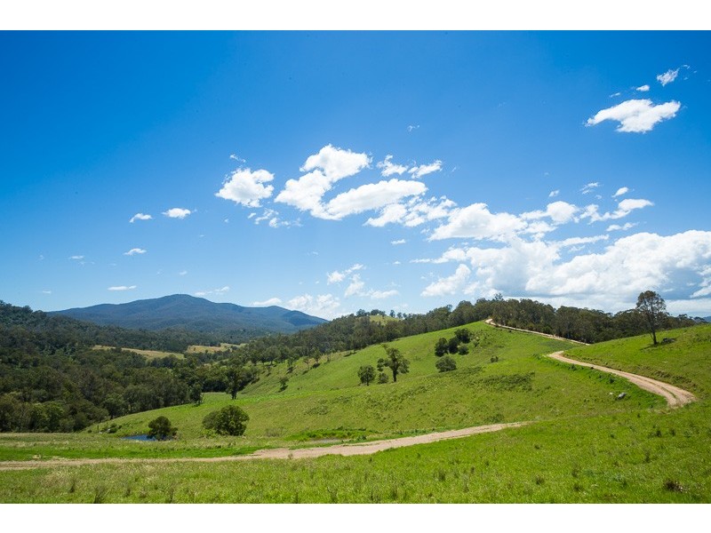 472 County Boundary Rd, Cobargo NSW 2550