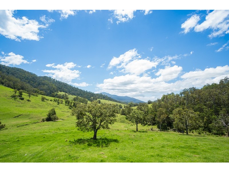 472 County Boundary Rd, Cobargo NSW 2550