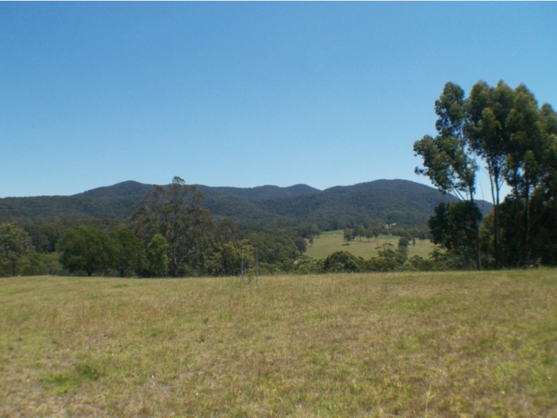 807 Warrigal Range Rd, Brogo NSW 2550