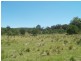 807 Warrigal Range Rd, Brogo NSW 2550