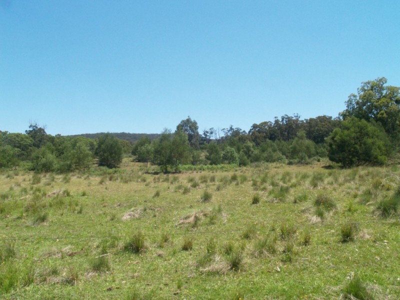 807 Warrigal Range Rd, Brogo NSW 2550