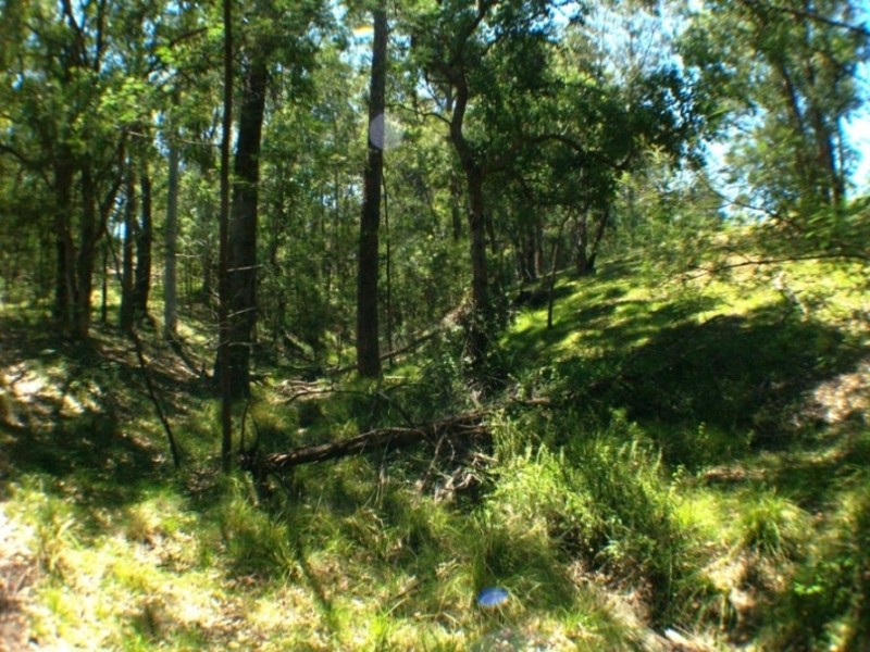 807 Warrigal Range Rd, Brogo NSW 2550