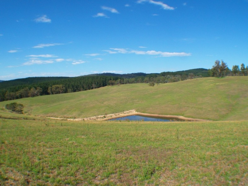 3061 Burragate Rd, Towamba NSW 2550