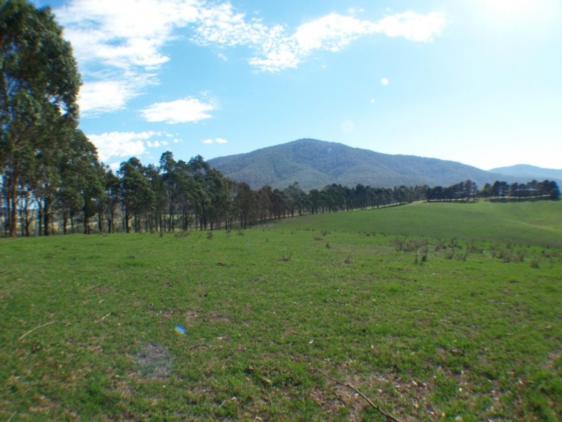 3061 Burragate Rd, Towamba NSW 2550