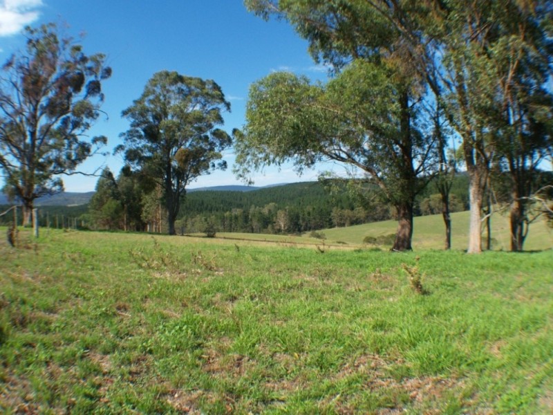 3061 Burragate Rd, Towamba NSW 2550