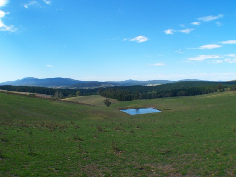 3061 Burragate Rd, Towamba NSW 2550