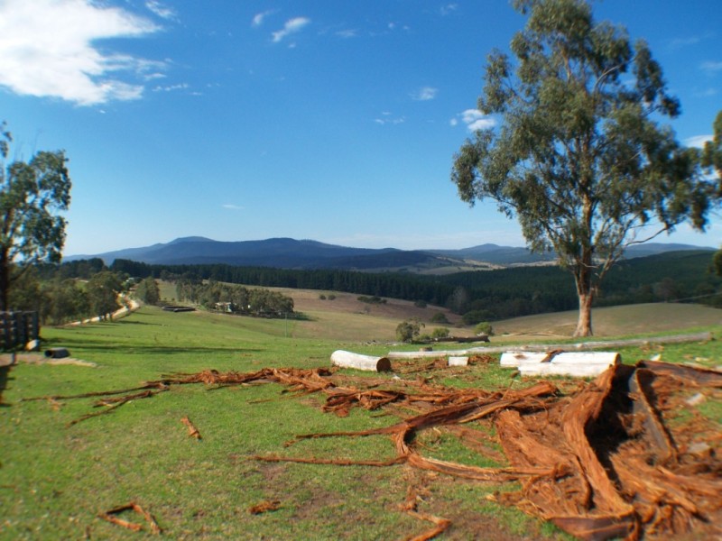 3061 Burragate Rd, Towamba NSW 2550