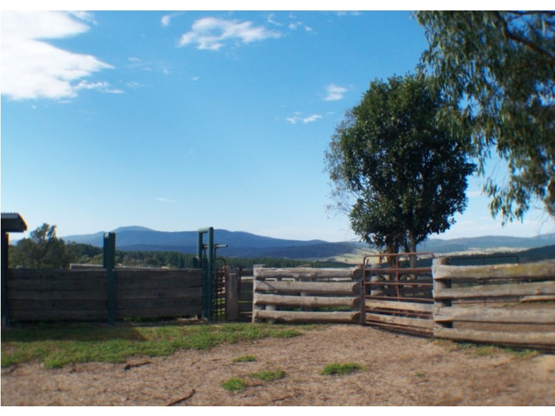 3061 Burragate Rd, Towamba NSW 2550