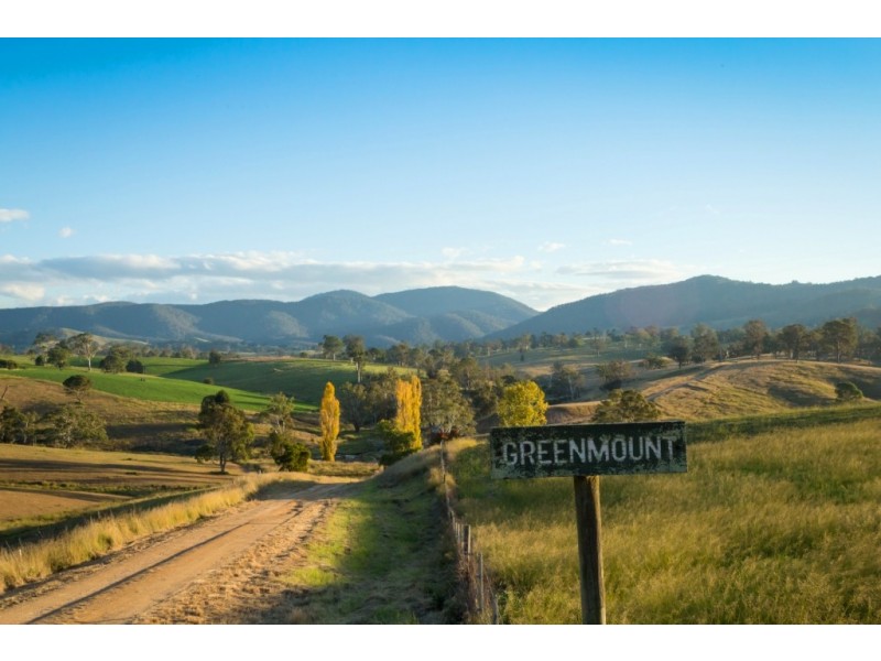 1687 Myrtle Mtn Rd, Candelo NSW 2550