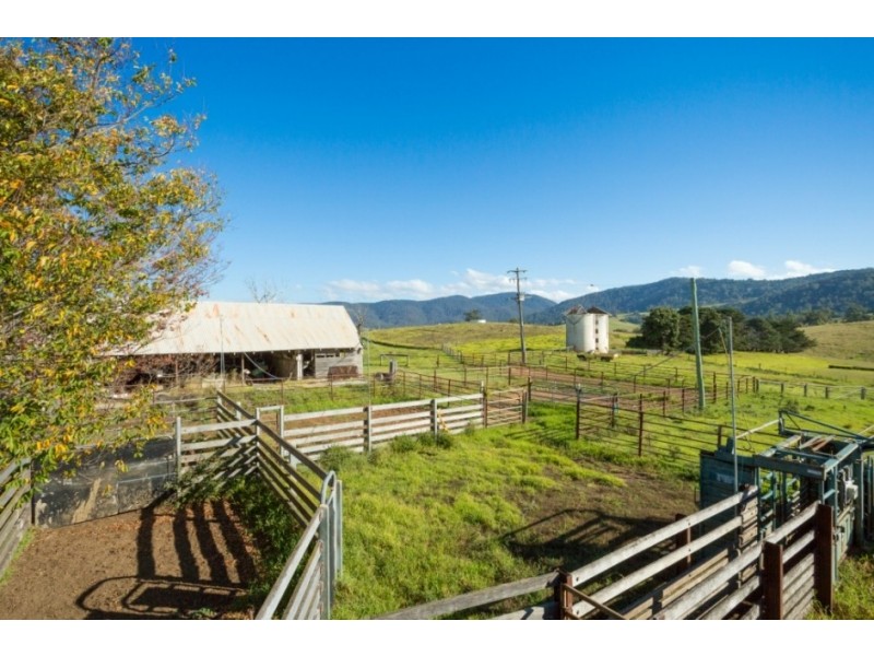1687 Myrtle Mtn Rd, Candelo NSW 2550