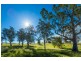 1687 Myrtle Mtn Rd, Candelo NSW 2550
