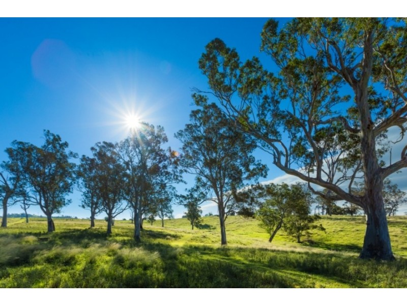 1687 Myrtle Mtn Rd, Candelo NSW 2550