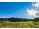 1687 Myrtle Mtn Rd, Candelo NSW 2550