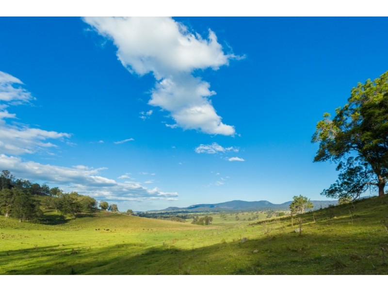 1687 Myrtle Mtn Rd, Candelo NSW 2550