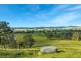 1687 Myrtle Mtn Rd, Candelo NSW 2550