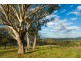 1687 Myrtle Mtn Rd, Candelo NSW 2550