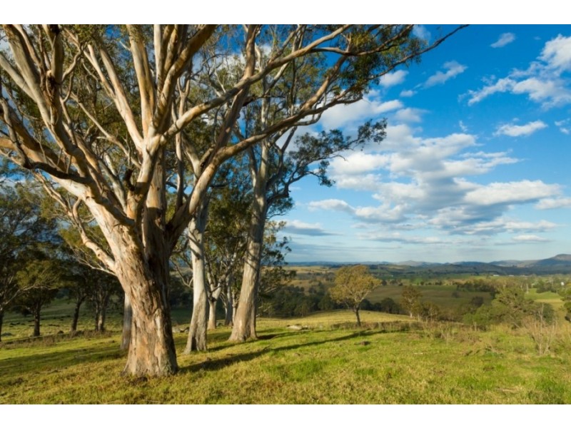 1687 Myrtle Mtn Rd, Candelo NSW 2550